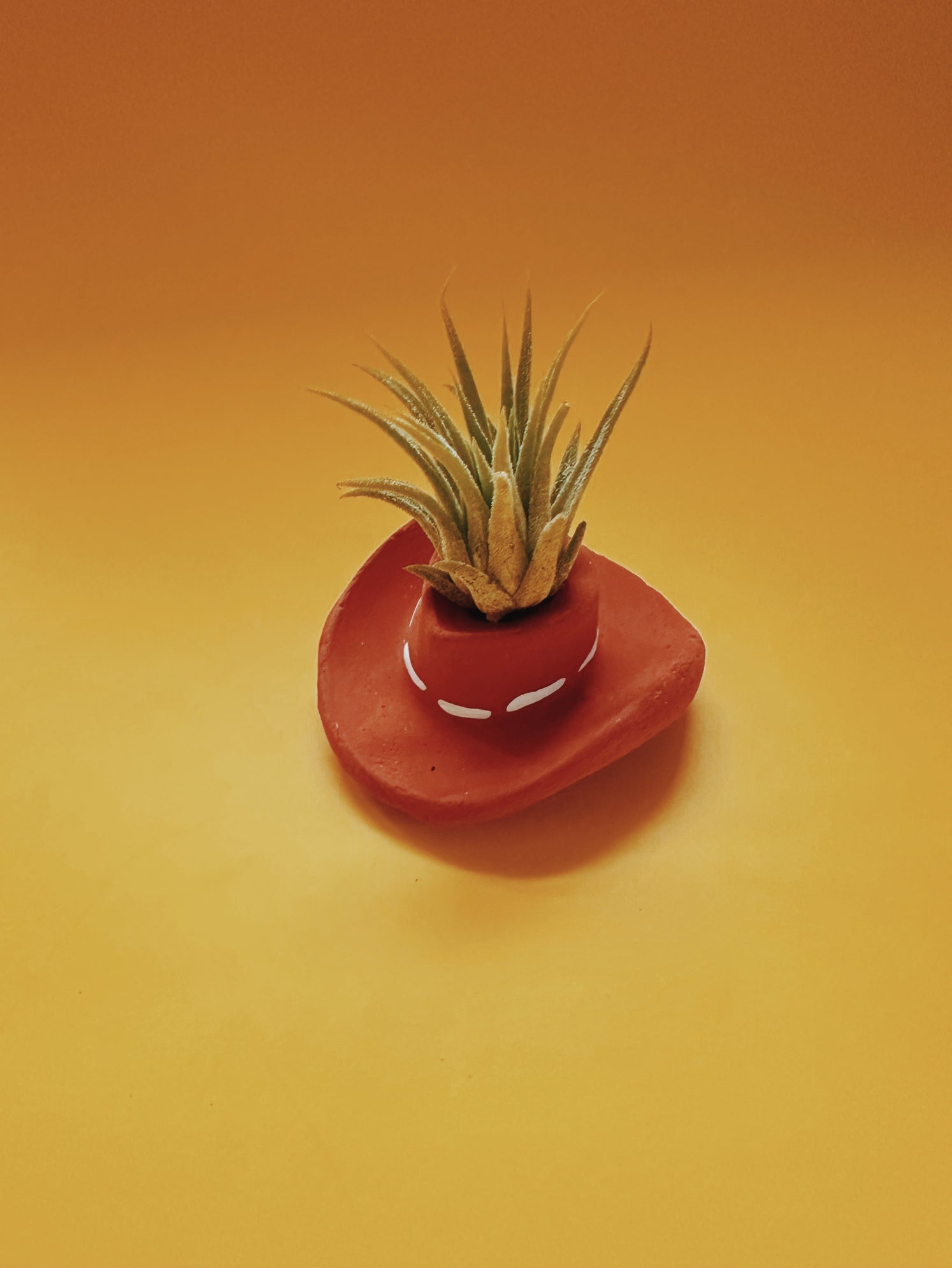 A cute, mini planter made for air plants - handmade with concrete & hand painted. Includes airplant.