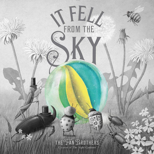 It Fell From the Sky Book