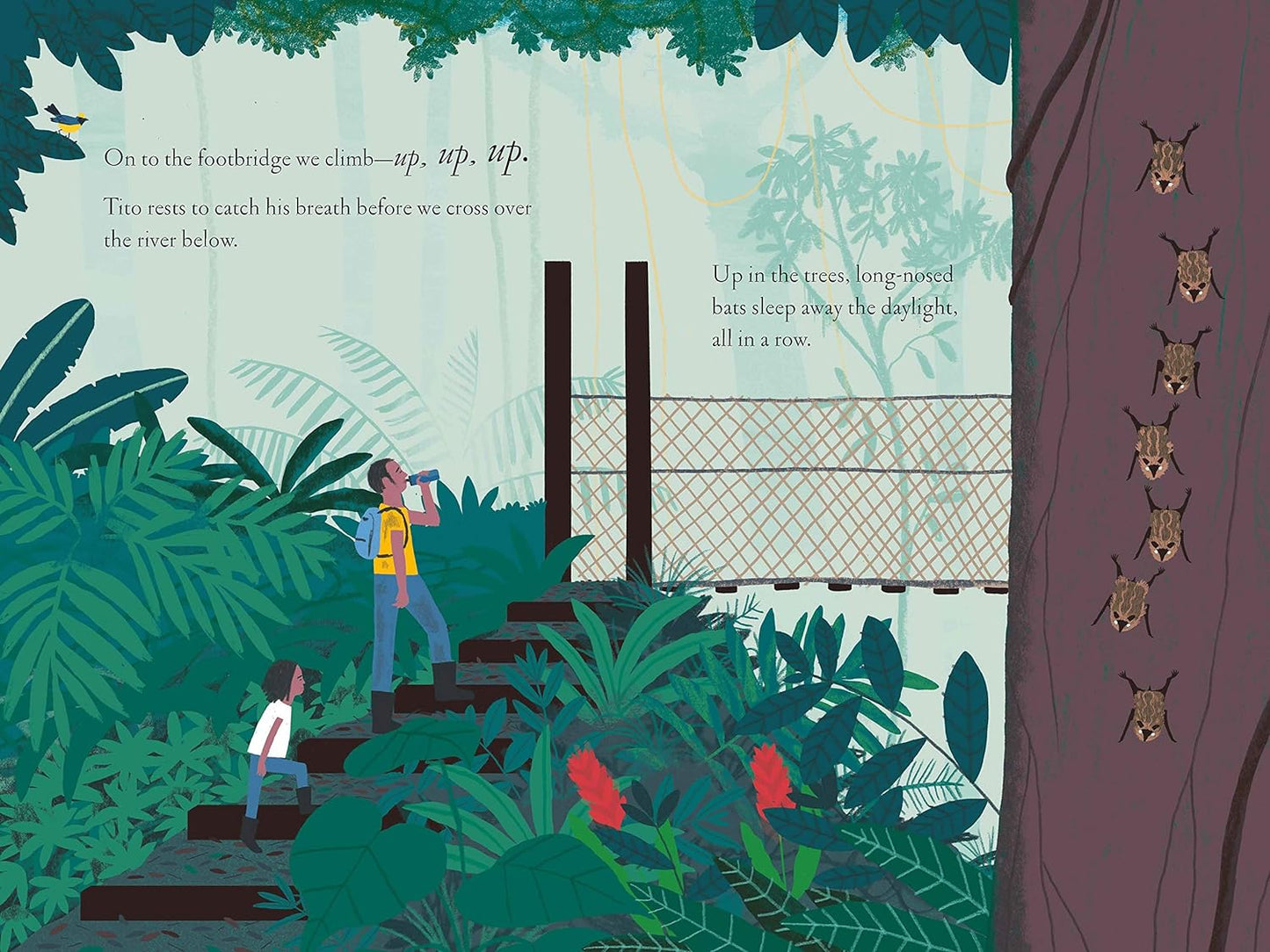 Award-winning duo Kate Messner and Christopher Silas Neal take readers on a thrilling tour of one of the most diverse ecosystems on planet earth: the rainforests of Central America.