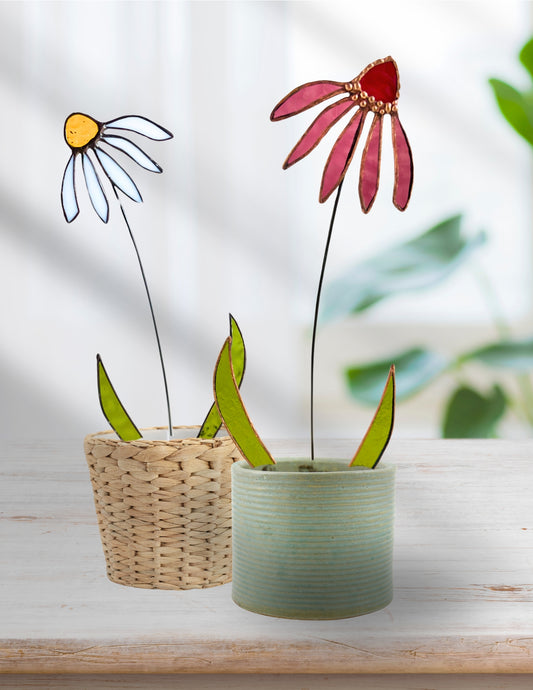 Stained Glass Coneflower Plant Stake