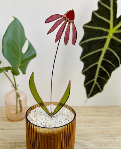 Stained Glass Coneflower Plant Stake