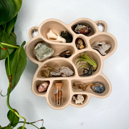 The Cave of Inspiration was designed to encourage a connection with nature and the exploration of the outdoors. It makes the perfect home for crystals, pinecones, rocks, air plants and other tiny treasures.