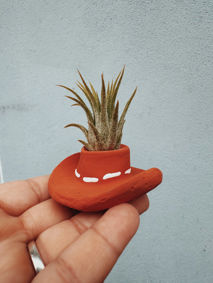 A cute, mini planter made for air plants - handmade with concrete & hand painted. Includes airplant.