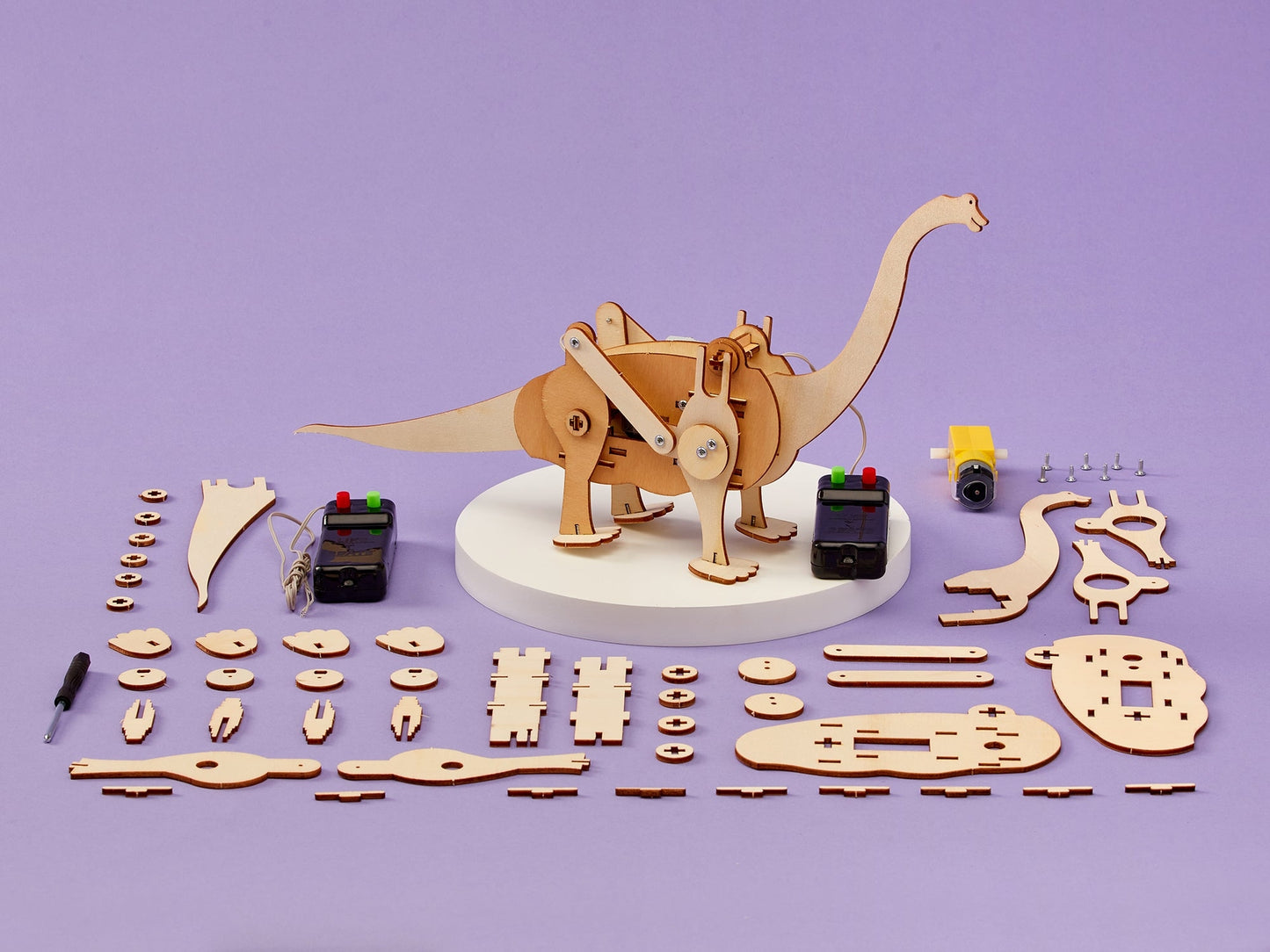 STEM Dinosaur Robot Kit