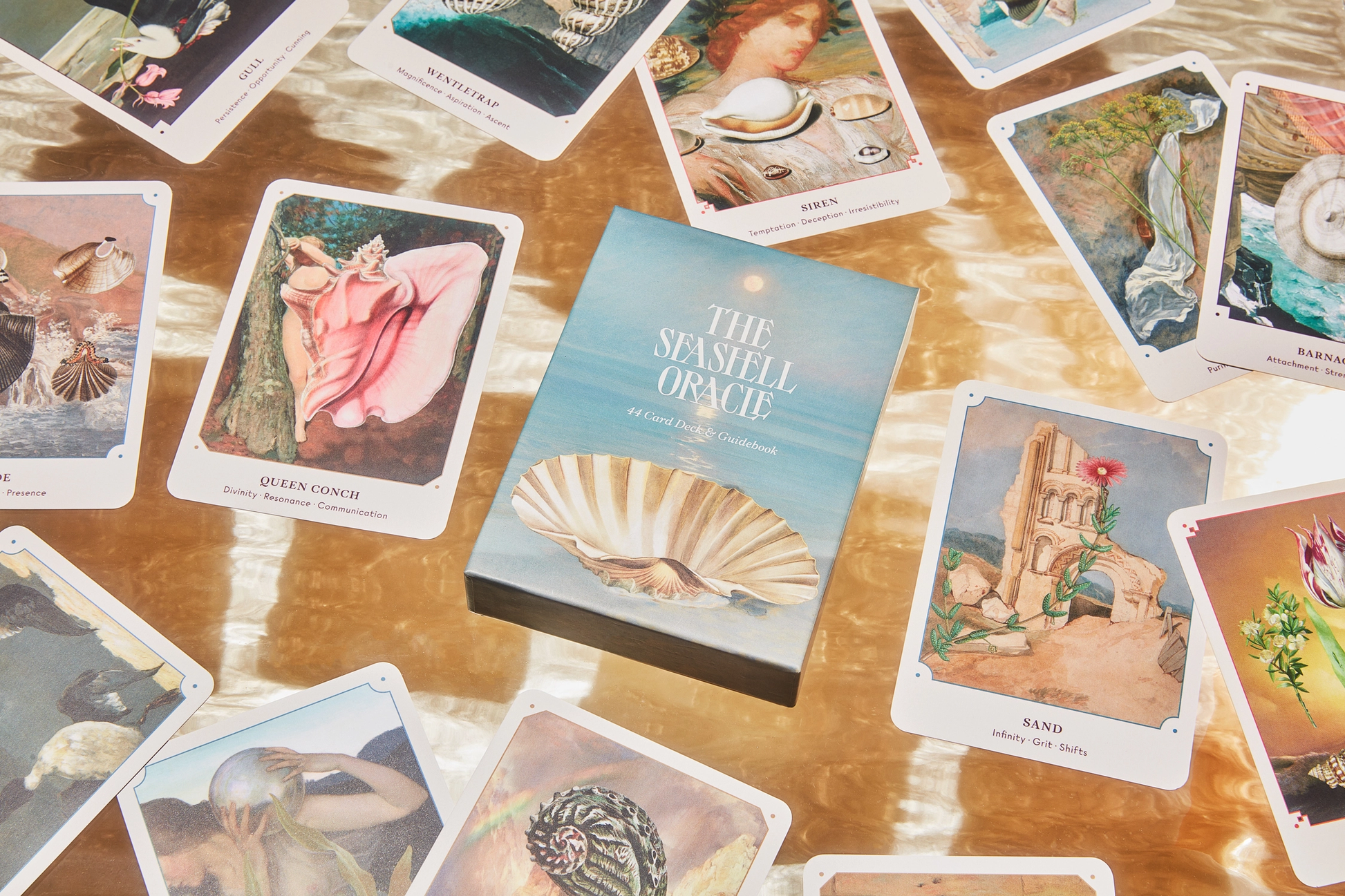 Oracle deck featuring seashells that is a unique alternative to tarot cards