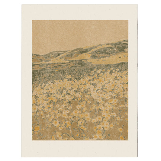 Field of 70's by Coco Shalom. Prints are made with 100% recycled paper, containing 30% post consumer waste, produced with 100% green power and 0% BS.